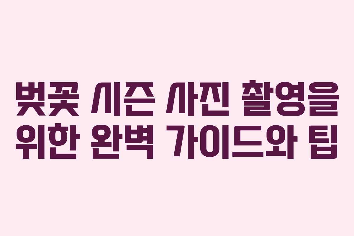 벚꽃 시즌 사진 촬영을 위한 완벽 가이드와 팁