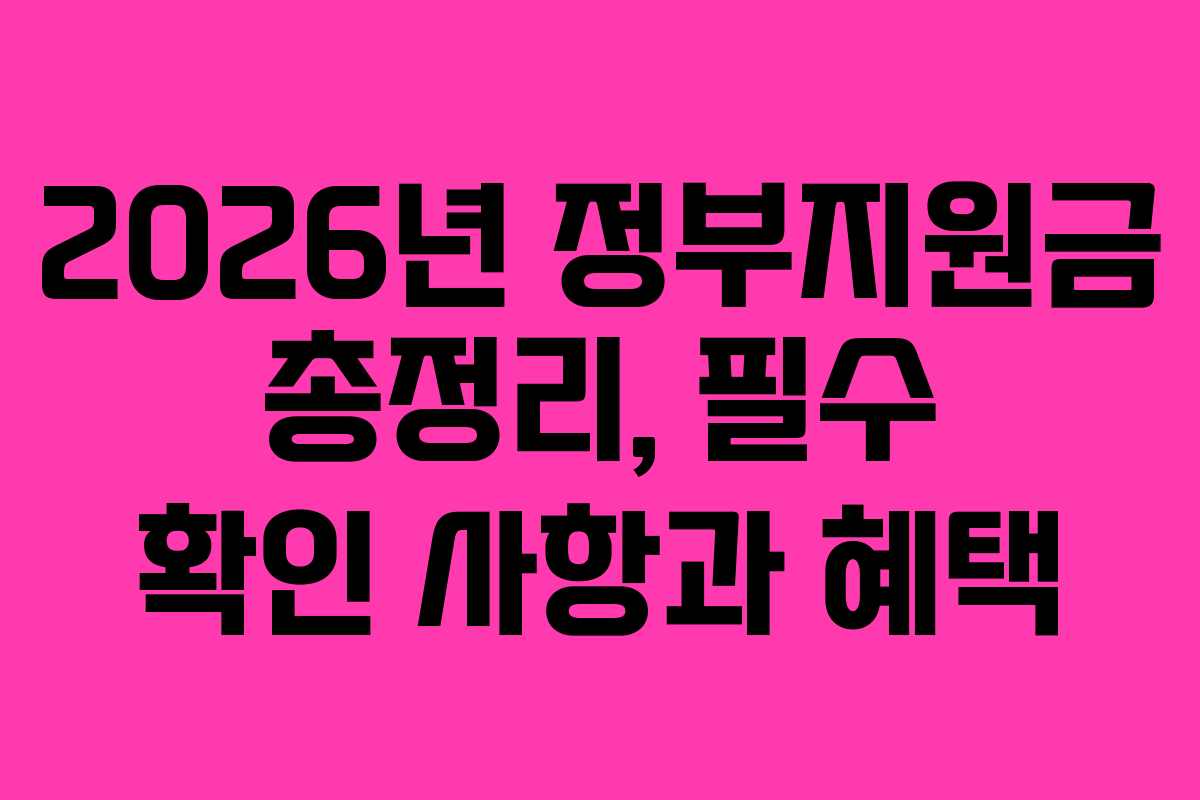 2026년 정부지원금 총정리, 필수 확인 사항과 혜택
