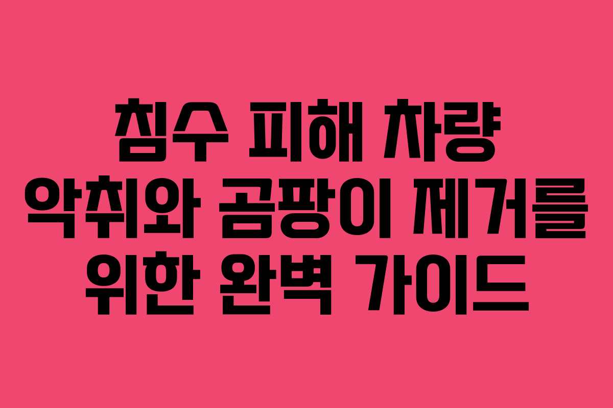 침수 피해 차량 악취와 곰팡이 제거를 위한 완벽 가이드