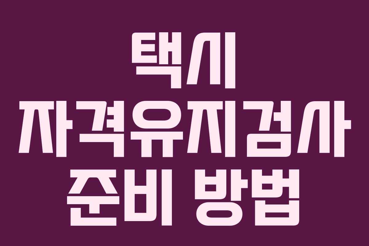 택시 자격유지검사 준비 방법