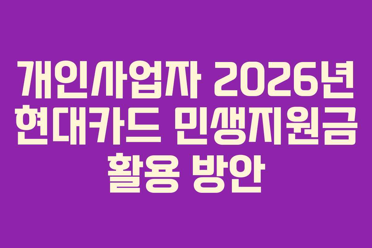 개인사업자 2026년 현대카드 민생지원금 활용 방안