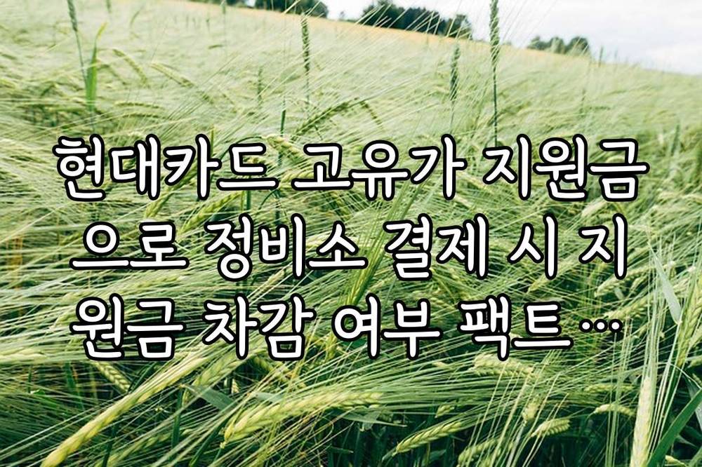 현대카드 고유가 지원금으로 정비소 결제 시 지원금 차감 여부 팩트체크