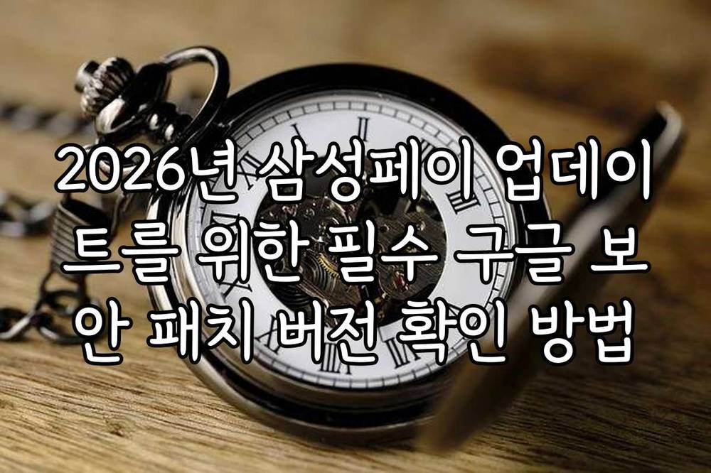 2026년 삼성페이 업데이트를 위한 필수 구글 보안 패치 버전 확인 방법