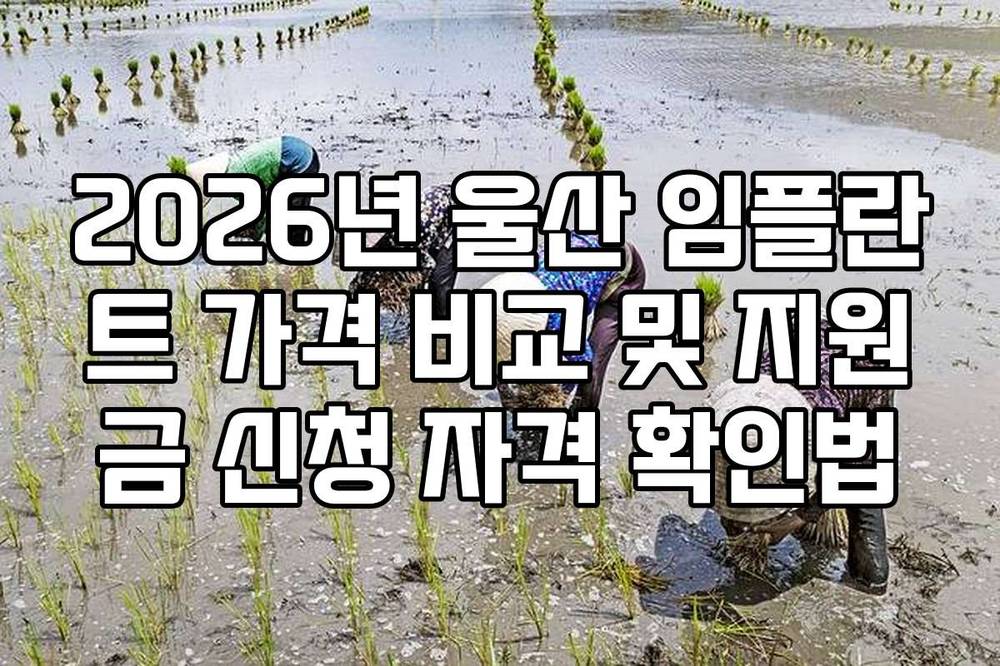 2026년 울산 임플란트 가격 비교 및 지원금 신청 자격 확인법