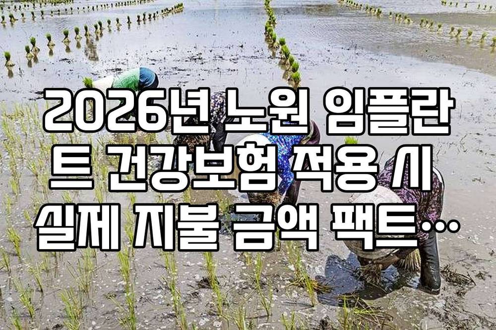 2026년 노원 임플란트 건강보험 적용 시 실제 지불 금액 팩트 체크