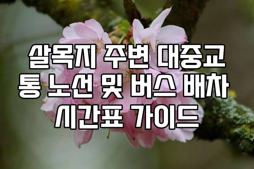 살목지 주변 대중교통 노선 및 버스 배차 시간표 가이드
