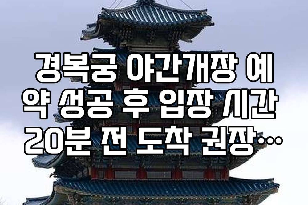 경복궁 야간개장 예약 성공 후 입장 시간 20분 전 도착 권장하는 이유