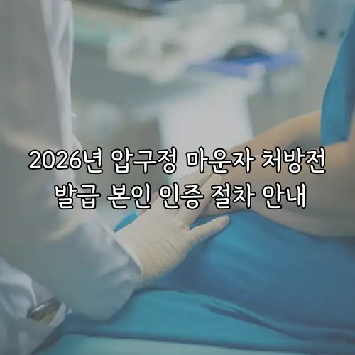 2026년 압구정 마운자 처방전 발급 본인 인증 절차 안내