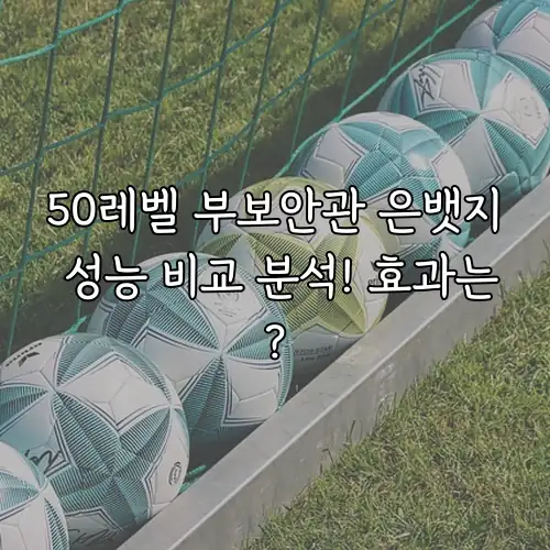 50레벨 부보안관 은뱃지 성능 비교 분석! 효과는?