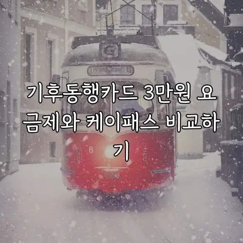 기후동행카드 3만원 요금제와 케이패스 비교하기
