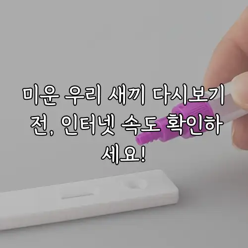 미운 우리 새끼 다시보기 전, 인터넷 속도 확인하세요!