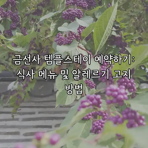 금선사 템플스테이 예약하기: 식사 메뉴 및 알레르기 고지 방법
