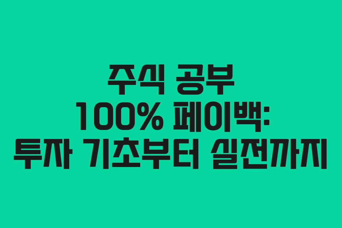 주식-공부-100%-페이백-투자-기초부터-실전까지