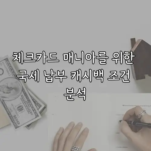 체크카드 매니아를 위한 국세 납부 캐시백 조건 분석