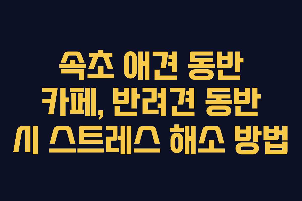 속초-애견-동반-카페,-반려견-동반-시-스트레스-해소-방법